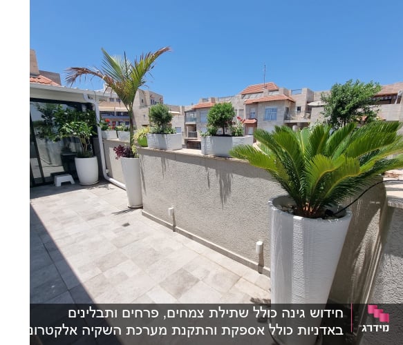עציצים גדולים עם צמחים ירוקים על מרפסת